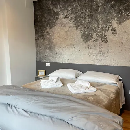 Apartment Pio X