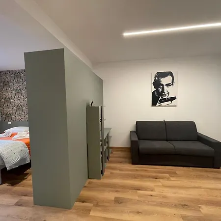 Apartment Pio X *